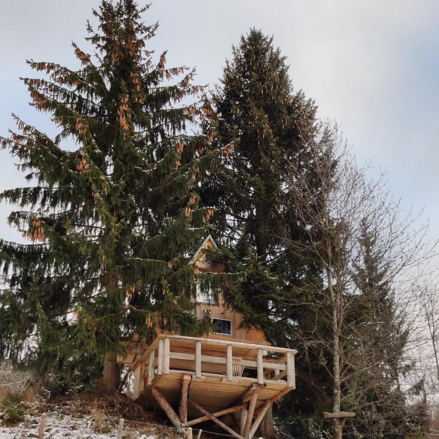 Zen Among The Trees Villa Stahovica ภายนอก รูปภาพ